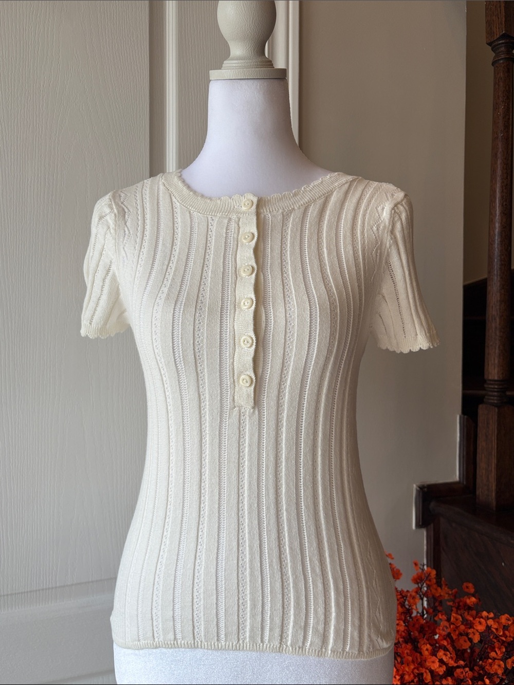 American Eagle Outfitters Cream Scalloped Button Pointelle Knit Top